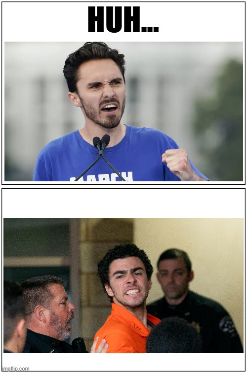 Twinsies? | HUH... | image tagged in memes,blank comic panel 1x2,david hogg,ceo assassin,separated at birth | made w/ Imgflip meme maker