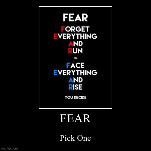 pick | FEAR | Pick One | image tagged in funny,demotivationals | made w/ Imgflip demotivational maker