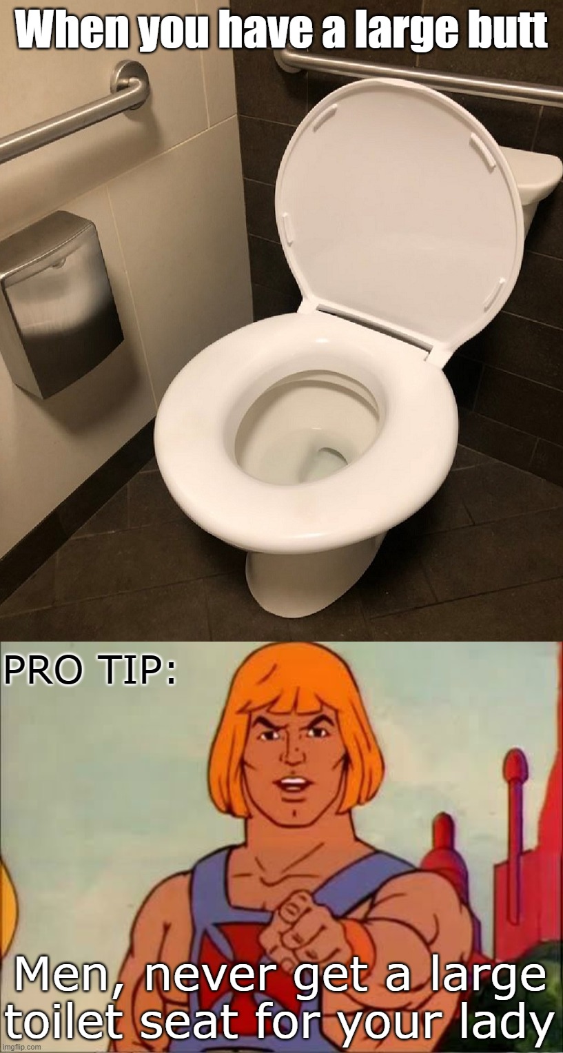 If she does not like her larger butt | When you have a large butt; PRO TIP:; Men, never get a large toilet seat for your lady | image tagged in he-man advice | made w/ Imgflip meme maker