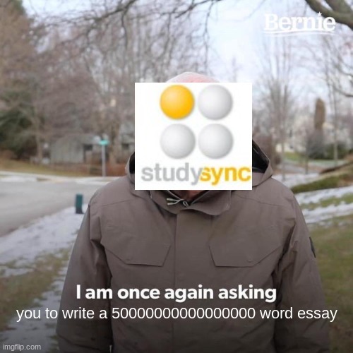 Bernie I Am Once Again Asking For Your Support | you to write a 50000000000000000 word essay | image tagged in memes,bernie i am once again asking for your support | made w/ Imgflip meme maker