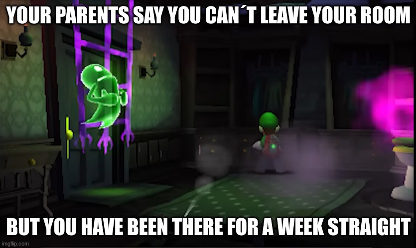 Room LMDM | YOUR PARENTS SAY YOU CAN´T LEAVE YOUR ROOM; BUT YOU HAVE BEEN THERE FOR A WEEK STRAIGHT | image tagged in luigi | made w/ Imgflip meme maker