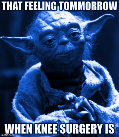 yoda grinch | image tagged in knee | made w/ Imgflip meme maker