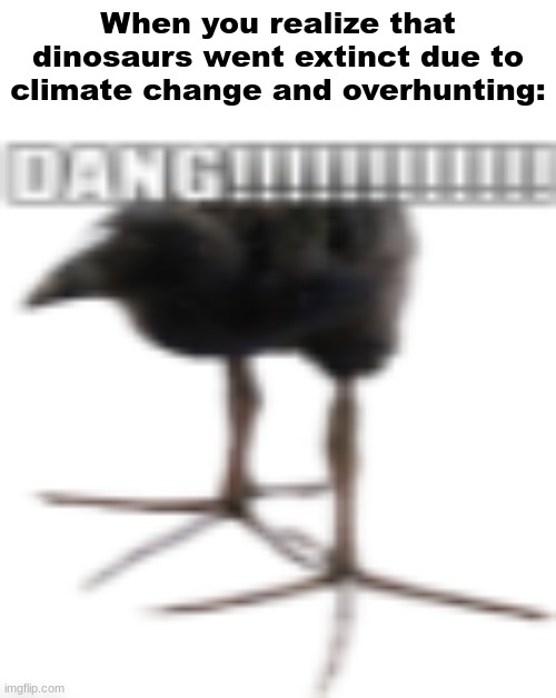 Wunduful. | When you realize that dinosaurs went extinct due to climate change and overhunting: | image tagged in dang | made w/ Imgflip meme maker