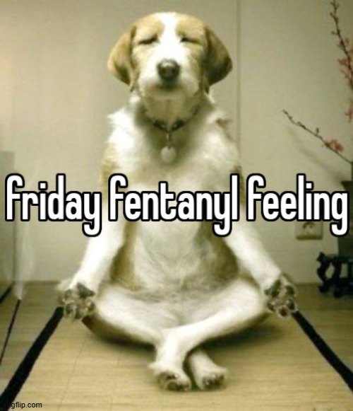 today is the only day you can repost this | image tagged in friday fentanyl feeling | made w/ Imgflip meme maker