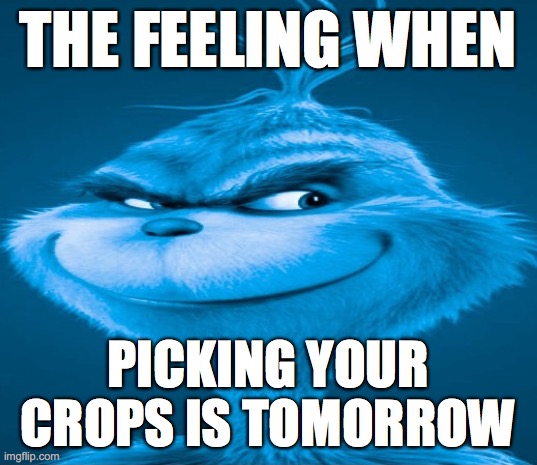 Blue Grinch | THE FEELING WHEN; PICKING YOUR CROPS IS TOMORROW | image tagged in blue grinch | made w/ Imgflip meme maker