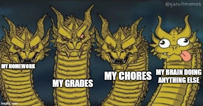 wow you read titles???? | MY HOMEWORK; MY GRADES; MY CHORES; MY BRAIN DOING ANYTHING ELSE | image tagged in 4 headed dragon | made w/ Imgflip meme maker