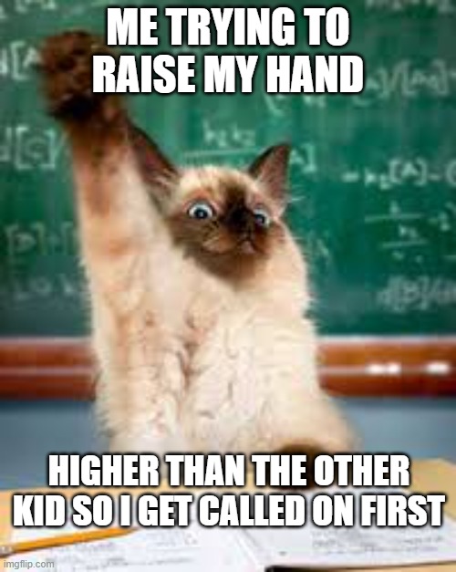 arm + 50 | ME TRYING TO RAISE MY HAND; HIGHER THAN THE OTHER KID SO I GET CALLED ON FIRST | image tagged in raised hand cat | made w/ Imgflip meme maker