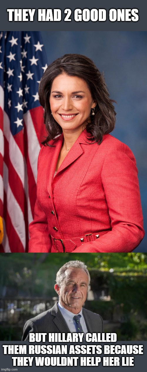 THEY HAD 2 GOOD ONES BUT HILLARY CALLED THEM RUSSIAN ASSETS BECAUSE THEY WOULDNT HELP HER LIE | image tagged in tulsi gabbard,robert f kennedy jr | made w/ Imgflip meme maker