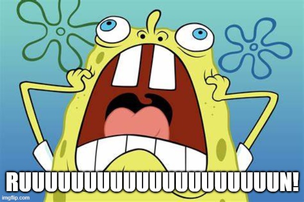 spongebob in panic mode | RUUUUUUUUUUUUUUUUUUUUN! | image tagged in spongebob screaming,panic mode | made w/ Imgflip meme maker