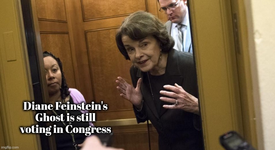 Sneaky Diane Feinstein | Diane Feinstein's Ghost is still voting in Congress | image tagged in sneaky diane feinstein | made w/ Imgflip meme maker