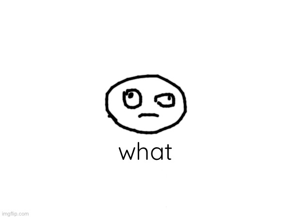 what | made w/ Imgflip meme maker