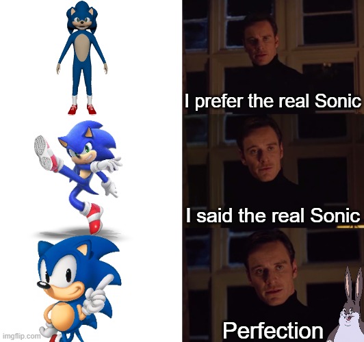 I prefer the real Sonic | I prefer the real Sonic; I said the real Sonic; Perfection | image tagged in i prefer the real | made w/ Imgflip meme maker