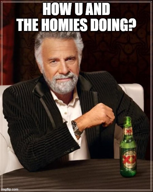 The Most Interesting Man In The World Meme | HOW U AND THE HOMIES DOING? | image tagged in memes,the most interesting man in the world | made w/ Imgflip meme maker