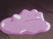 ditto sad Blank Meme Template