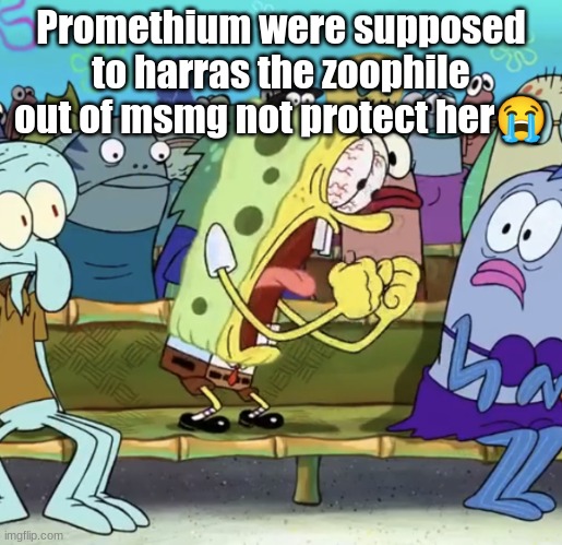 Spongebob Yelling | Promethium were supposed to harras the zoophile out of msmg not protect her😭 | image tagged in spongebob yelling | made w/ Imgflip meme maker