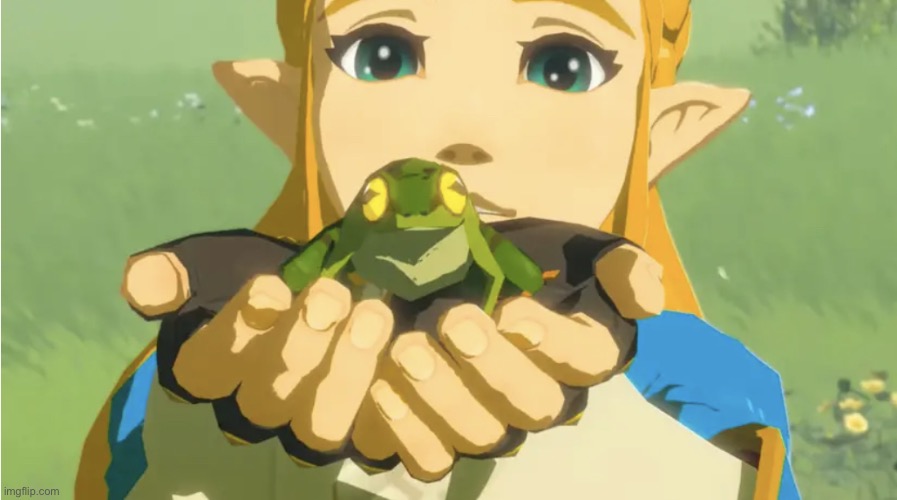 I don’t know who needed this, but I found Zelda holding a frog. | image tagged in forg,memes | made w/ Imgflip meme maker