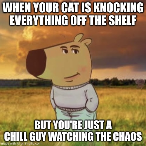 Chill guy | WHEN YOUR CAT IS KNOCKING EVERYTHING OFF THE SHELF; BUT YOU'RE JUST A CHILL GUY WATCHING THE CHAOS | image tagged in chill guy | made w/ Imgflip meme maker