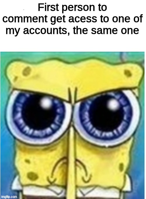 Just dont share it or change anything | First person to comment get acess to one of my accounts, the same one | image tagged in angry spongebob blank | made w/ Imgflip meme maker