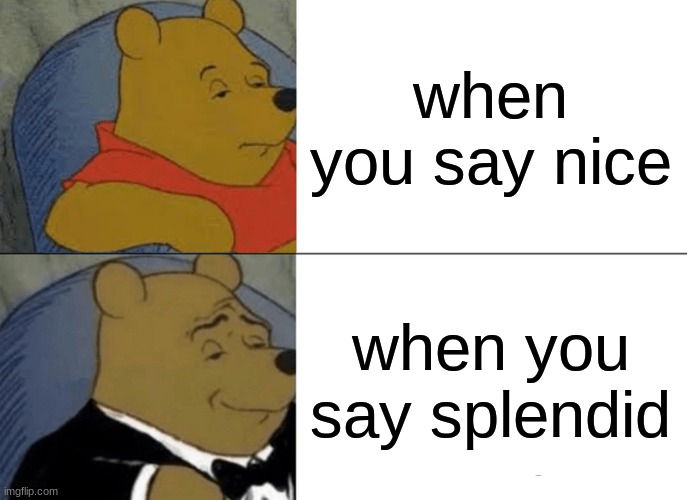 Tuxedo Winnie The Pooh | when you say nice; when you say splendid | image tagged in memes,tuxedo winnie the pooh | made w/ Imgflip meme maker