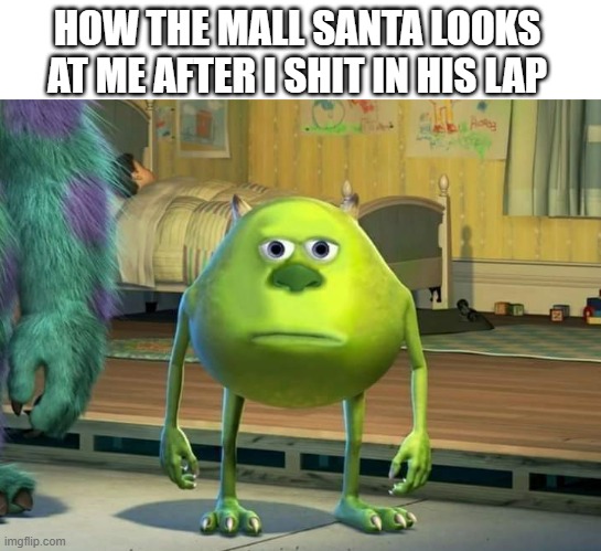 Mike Wazowski Bruh | HOW THE MALL SANTA LOOKS AT ME AFTER I SHIT IN HIS LAP | image tagged in mike wazowski bruh | made w/ Imgflip meme maker