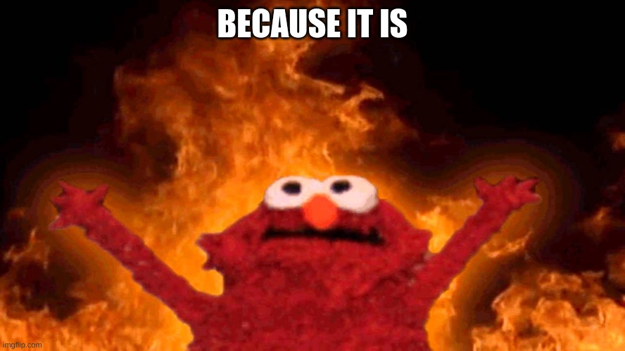 BECAUSE IT IS | image tagged in elmo fire | made w/ Imgflip meme maker