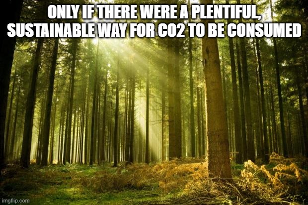 sunlit forest | ONLY IF THERE WERE A PLENTIFUL, SUSTAINABLE WAY FOR CO2 TO BE CONSUMED | image tagged in sunlit forest | made w/ Imgflip meme maker