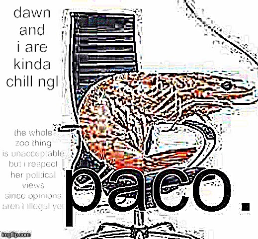 just saying we respect each others opinions | dawn and i are kinda chill ngl; the whole zoo thing is unacceptable but i respect her political views since opinions aren’t illegal yet | image tagged in paco | made w/ Imgflip meme maker