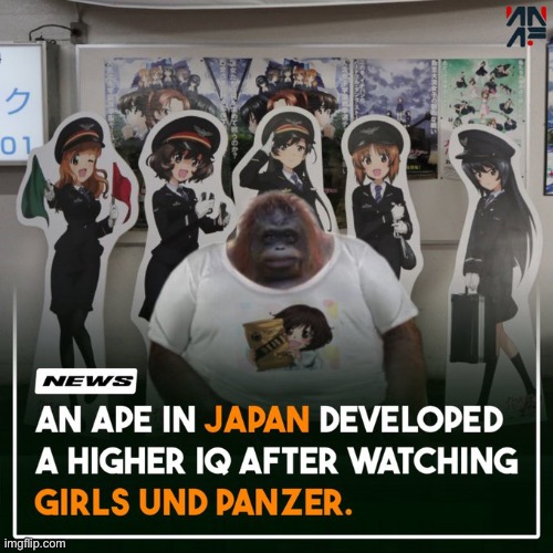 image tagged in japan,ape,girls und panzer | made w/ Imgflip meme maker