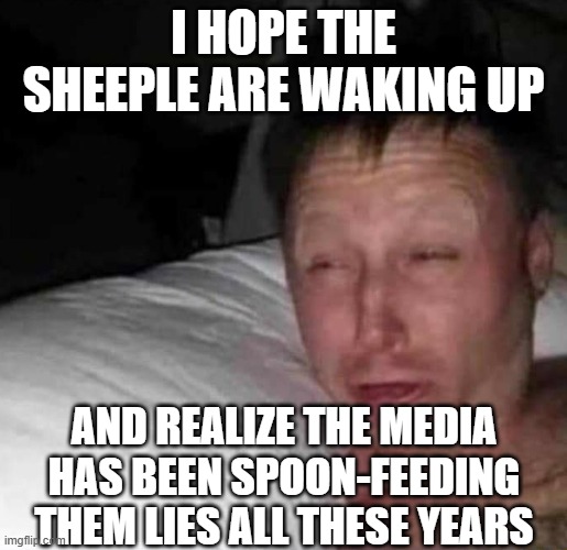 Sleepy guy | I HOPE THE SHEEPLE ARE WAKING UP AND REALIZE THE MEDIA HAS BEEN SPOON-FEEDING THEM LIES ALL THESE YEARS | image tagged in sleepy guy | made w/ Imgflip meme maker