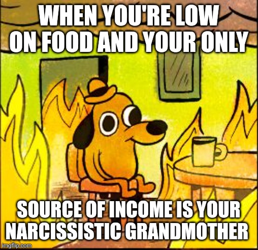 My belly or my sanity? | WHEN YOU'RE LOW ON FOOD AND YOUR ONLY; SOURCE OF INCOME IS YOUR NARCISSISTIC GRANDMOTHER | image tagged in this is fine,fml,family,toxic | made w/ Imgflip meme maker