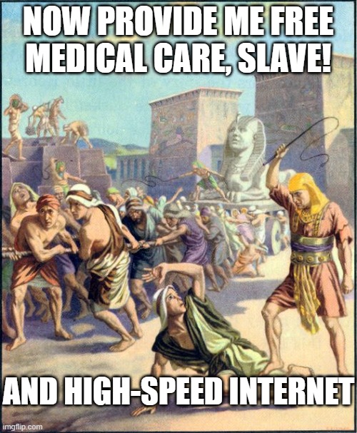 Slave driving | NOW PROVIDE ME FREE MEDICAL CARE, SLAVE! AND HIGH-SPEED INTERNET | image tagged in slave driving | made w/ Imgflip meme maker