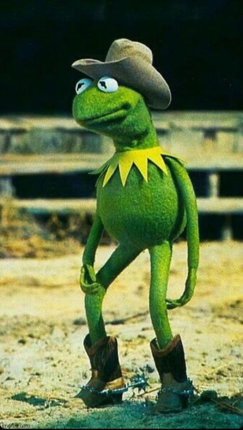 When you're a sleepy cowboy | image tagged in man,kermit the frog,cowboy,kermit,muppets,western | made w/ Imgflip meme maker