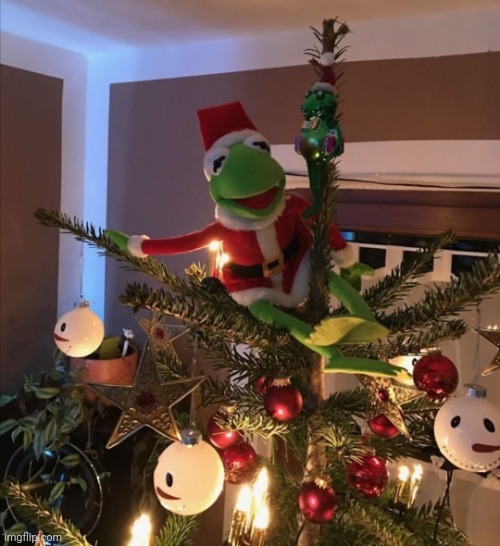 POLE DANCIN KERMIT MAN! | image tagged in dancing,sexy,kermit the frog,christmas,merry christmas,christmas tree | made w/ Imgflip meme maker