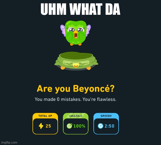 Thanks Beyoncé! | UHM WHAT DA | image tagged in beyonc duolingo | made w/ Imgflip meme maker