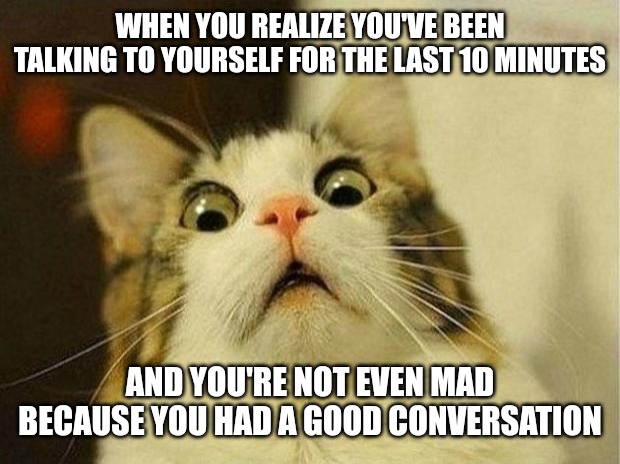 It was a good conversation | WHEN YOU REALIZE YOU'VE BEEN TALKING TO YOURSELF FOR THE LAST 10 MINUTES; AND YOU'RE NOT EVEN MAD BECAUSE YOU HAD A GOOD CONVERSATION | image tagged in memes,scared cat,funny,funny memes,fun,cats | made w/ Imgflip meme maker