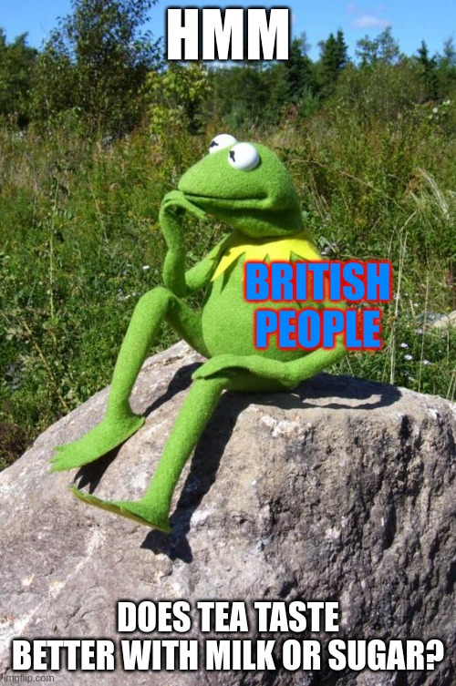 Kermit-thinking | HMM; BRITISH PEOPLE; DOES TEA TASTE BETTER WITH MILK OR SUGAR? | image tagged in kermit-thinking | made w/ Imgflip meme maker