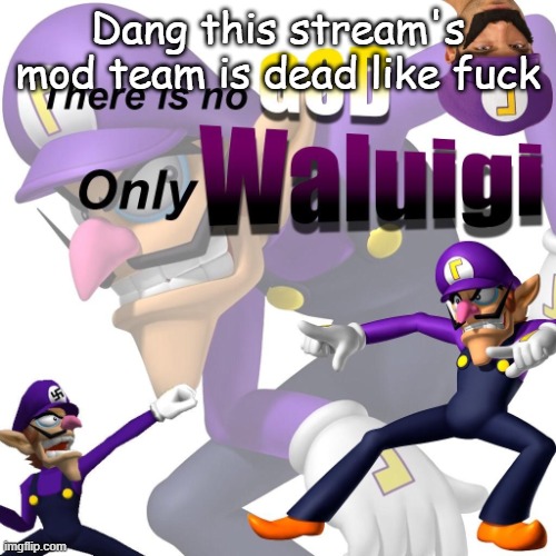 There is no god only waluigi | Dang this stream's mod team is dead like fuck | image tagged in there is no god only waluigi | made w/ Imgflip meme maker