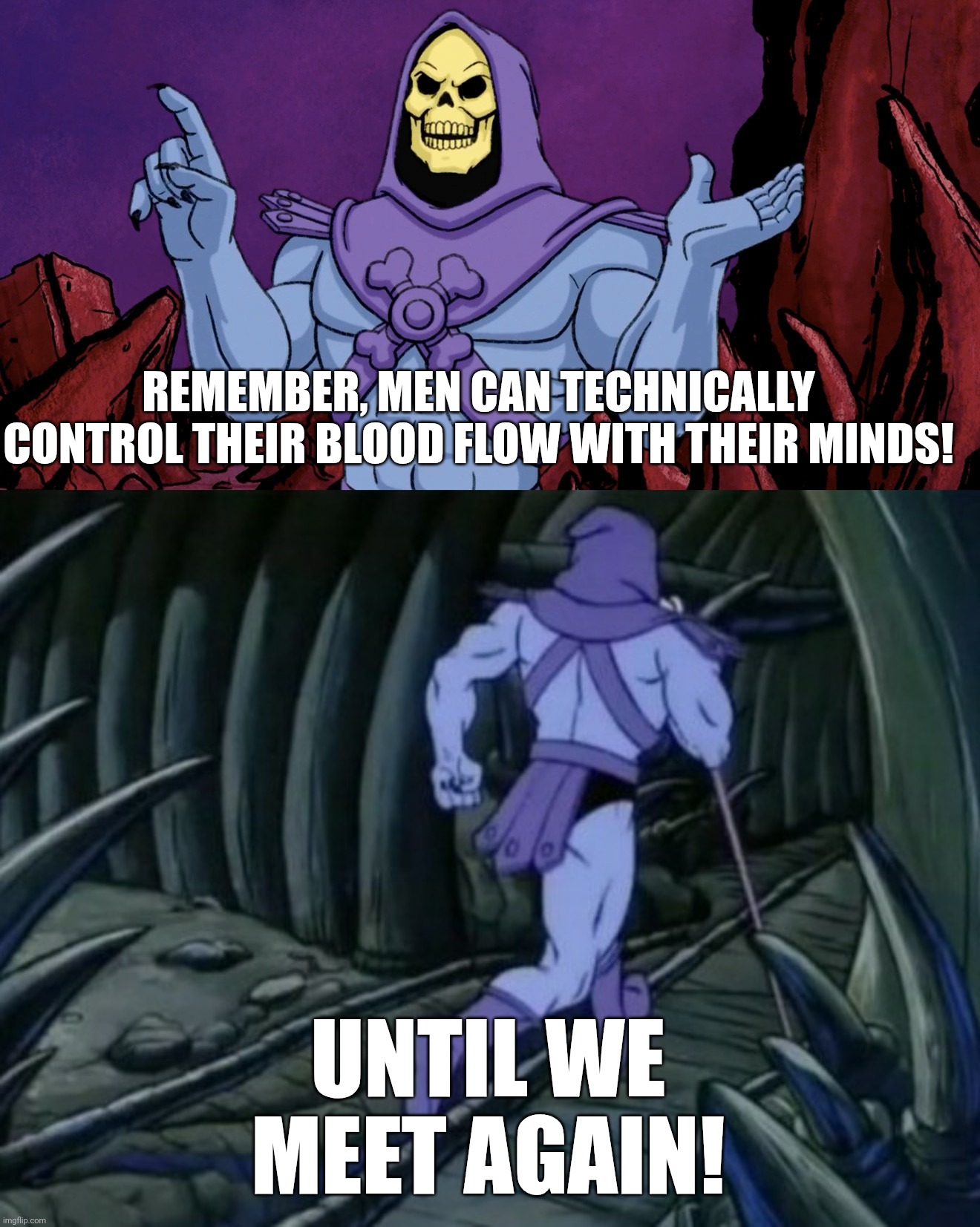 If you don't get it the here's a hint: "skyscraper" | REMEMBER, MEN CAN TECHNICALLY CONTROL THEIR BLOOD FLOW WITH THEIR MINDS! UNTIL WE MEET AGAIN! | image tagged in skeletor until we meet again,funny,memes,dark,my skyscraper,get the joke | made w/ Imgflip meme maker