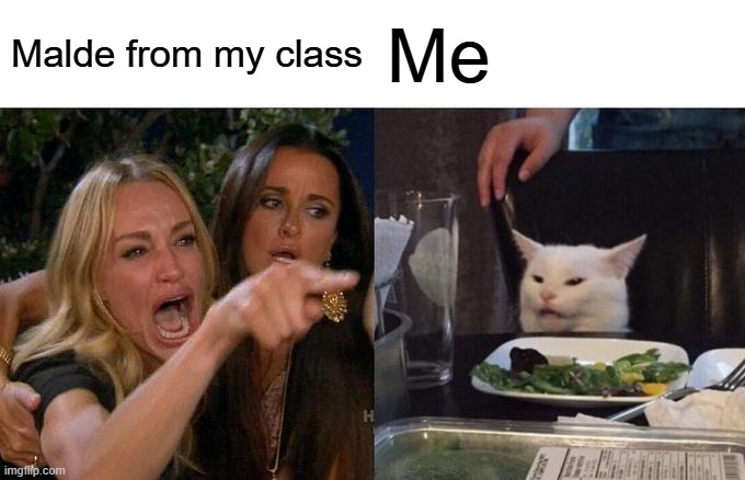 Woman Yelling At Cat | Malde from my class; Me | image tagged in memes,woman yelling at cat | made w/ Imgflip meme maker