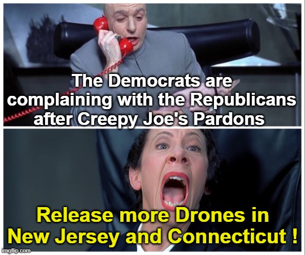 Release More Drones ! | The Democrats are complaining with the Republicans after Creepy Joe's Pardons; Release more Drones in New Jersey and Connecticut ! | image tagged in dr evil and frau yelling | made w/ Imgflip meme maker