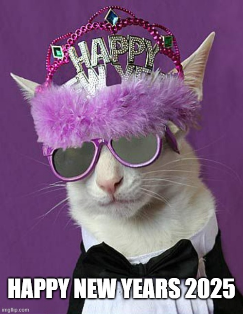 memes by Brad - My cat says Happy New Year to you | HAPPY NEW YEARS 2025 | image tagged in cats,funny,kittens,happy new year,humor,funny meme | made w/ Imgflip meme maker