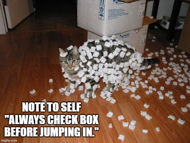 memes by Brad - Cat learns to look inside a box before climbing in | NOTE TO SELF "ALWAYS CHECK BOX BEFORE JUMPING IN." | image tagged in funny,cats,kitten,boxes,humor,merry christmas | made w/ Imgflip meme maker