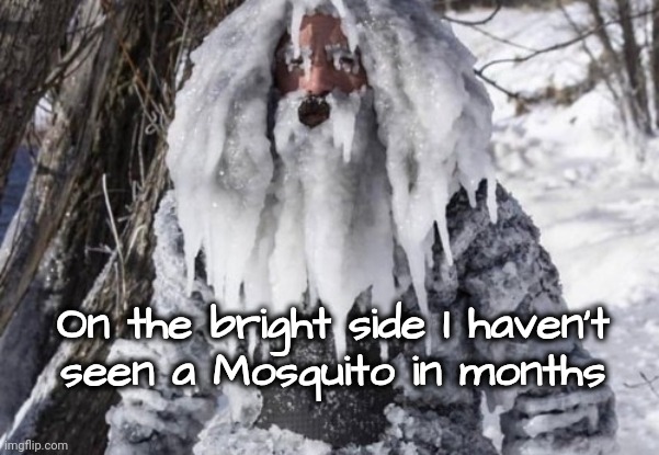 On the bright side I haven't 
seen a Mosquito in months | made w/ Imgflip meme maker