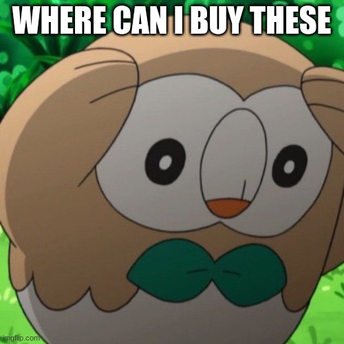 Rowlet Meme Template | WHERE CAN I BUY THESE | image tagged in rowlet meme template | made w/ Imgflip meme maker