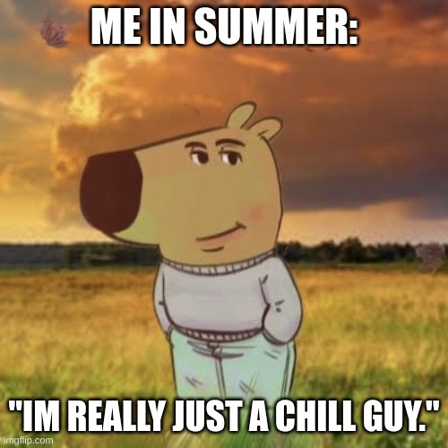 Chill guy | ME IN SUMMER:; "IM REALLY JUST A CHILL GUY." | image tagged in chill guy | made w/ Imgflip meme maker