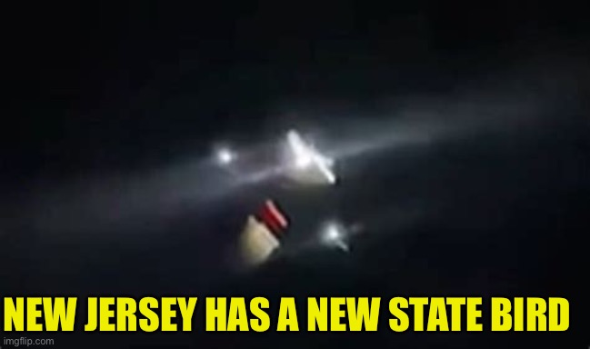 Mystery solved | NEW JERSEY HAS A NEW STATE BIRD | image tagged in gifs,new jersey,mystery,drones | made w/ Imgflip meme maker