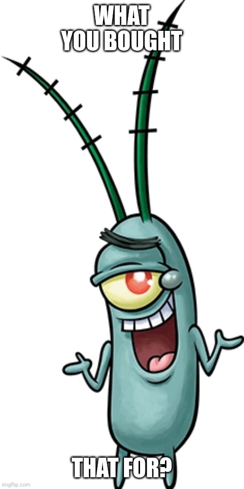 Plankton meme | WHAT YOU BOUGHT; THAT FOR? | image tagged in sheldon j plankton shrugging | made w/ Imgflip meme maker