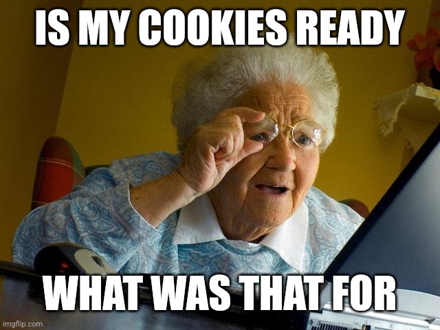 Hmm | IS MY COOKIES READY; WHAT WAS THAT FOR | image tagged in memes,grandma finds the internet | made w/ Imgflip meme maker