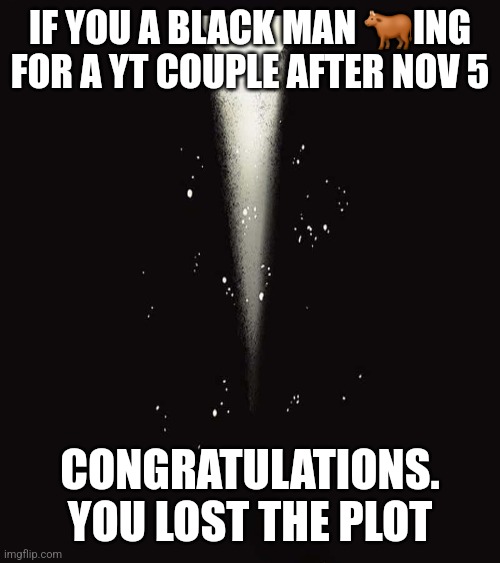 IF YOU A BLACK MAN 🐂ING FOR A YT COUPLE AFTER NOV 5; CONGRATULATIONS. YOU LOST THE PLOT | image tagged in dark humor | made w/ Imgflip meme maker