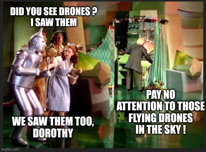 Someone call Fox Mulder... | DID YOU SEE DRONES ?
I SAW THEM; PAY NO ATTENTION TO THOSE FLYING DRONES IN THE SKY ! WE SAW THEM TOO,
DOROTHY | image tagged in leftists,democrats | made w/ Imgflip meme maker